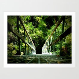 Bridge over Huffam Stream, Abel Tasman National Park (New Zealand Collection) Art Print