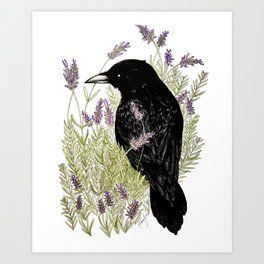 Relax Raven Art Print