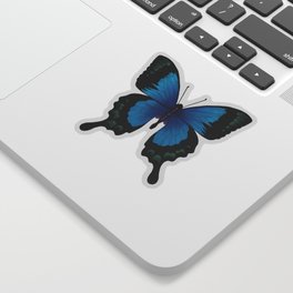 Blue Monarch Butterfly Sticker