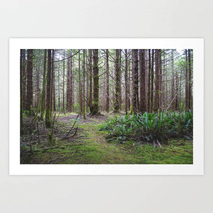 Written In Gold Art Print | Photography, Digital, Photography, Canada, Tofino, Rainforest, Green, Trees