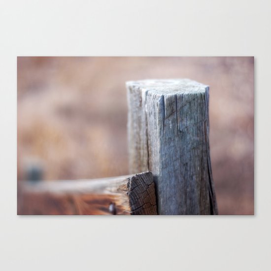 Fence Post II Canvas Print