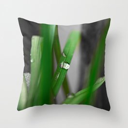 Water drops  Throw Pillow