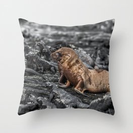 Baby sea lions surrounded by marine iguanas Galapagos Throw Pillow