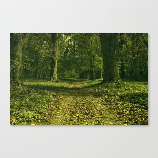 Magic woods Canvas Print