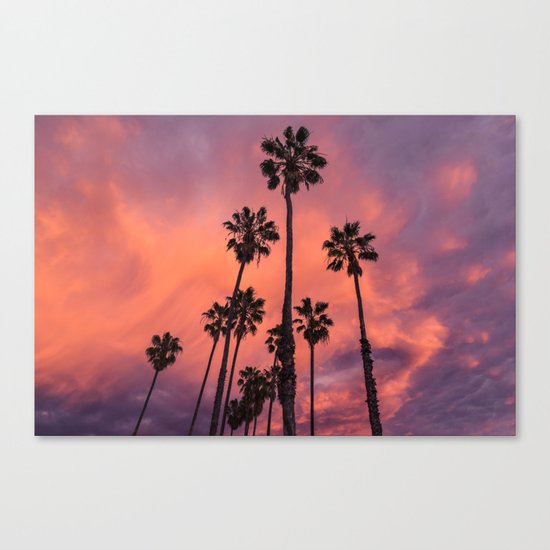 tropical vibes Canvas Print