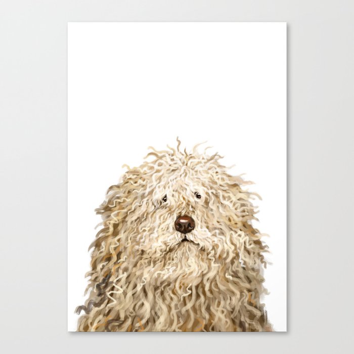 Canvas Print