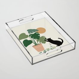 Cat and Plant 13: The Making of Monstera Acrylic Tray