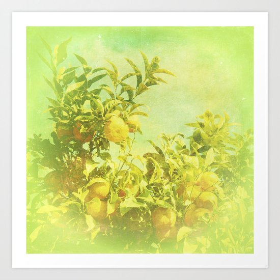 Mandarine Tree Art Print