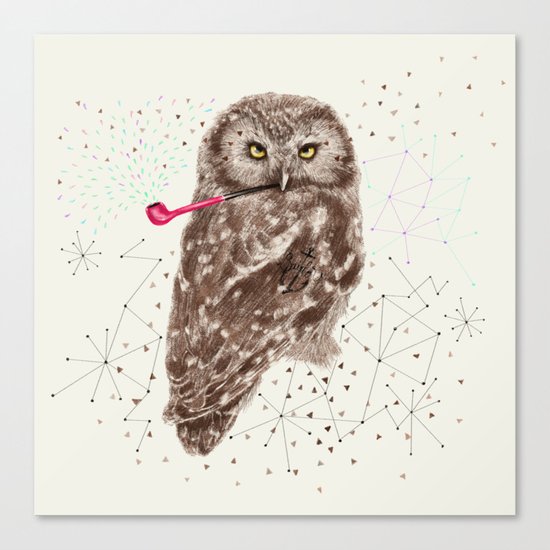 Mr.Owl III Canvas Print