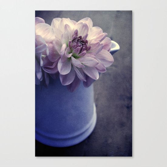 viola Canvas Print