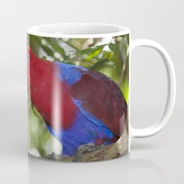 Eclectus Parrot Coffee Mug