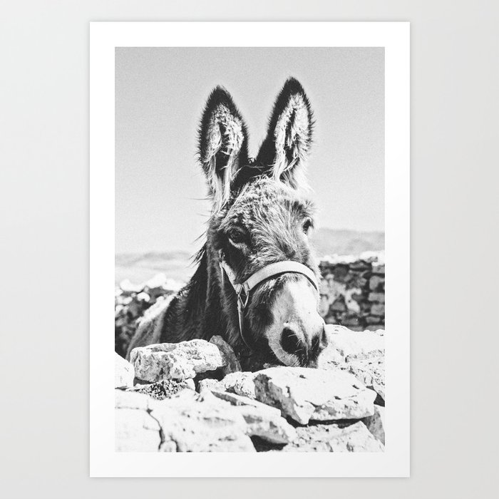 DONKEY Kunstdrucke DONKEY Kunstdrucke