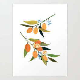 Kumquat Branch Art Print