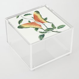 Rose Bush and Butterfly Acrylic Box