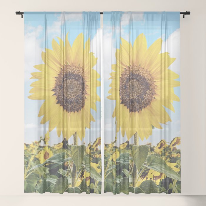 Sheer Curtain