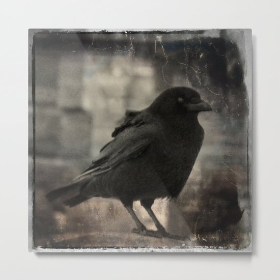 In A Photograph Metal Print