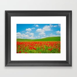 Bright Color Flower Field in Tuscany Italy Framed Art Print