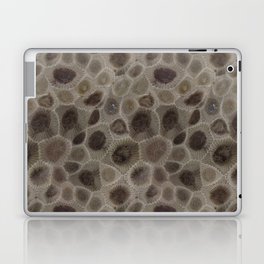 Petoskey Stone Laptop Skin