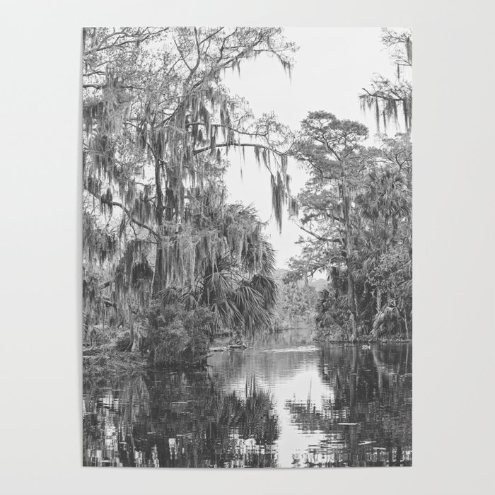 New Orleans City Park x New Orleans Photography Poster