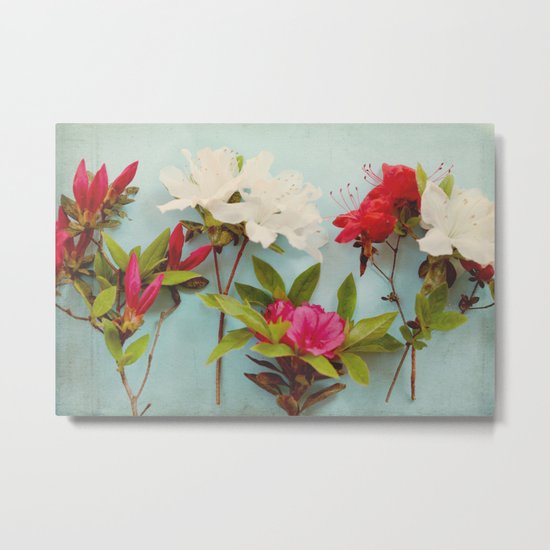 Blooming Azaleas Metal Print