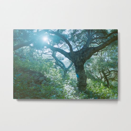 lever spread Metal Print