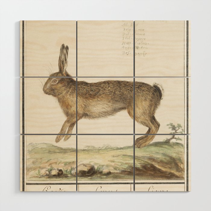 Hare, Lepus Europaeus Wood Wall Art