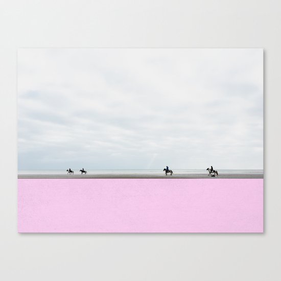 Equus Canvas Print