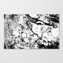 Black and White Canvas Print