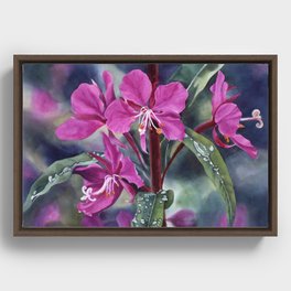 Alaska Fireweed Close up, floral watercolor painting Framed Canvas