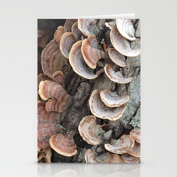 Fungi III Stationery Cards