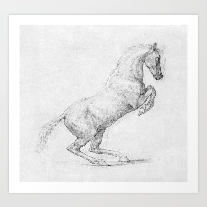 A Prancing Horse (black and white) illustration x George Stubbs Art Print