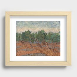 Olive Grove by Vincent van Gogh Recessed Framed Print