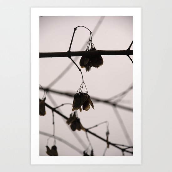 Seeds Art Print