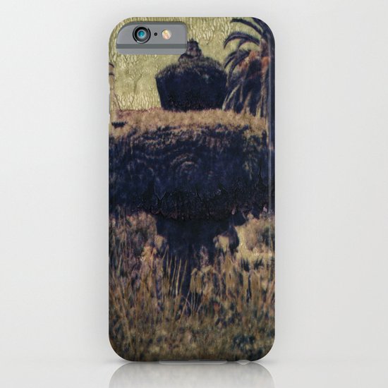 Mission Fountain iPhone & iPod Case