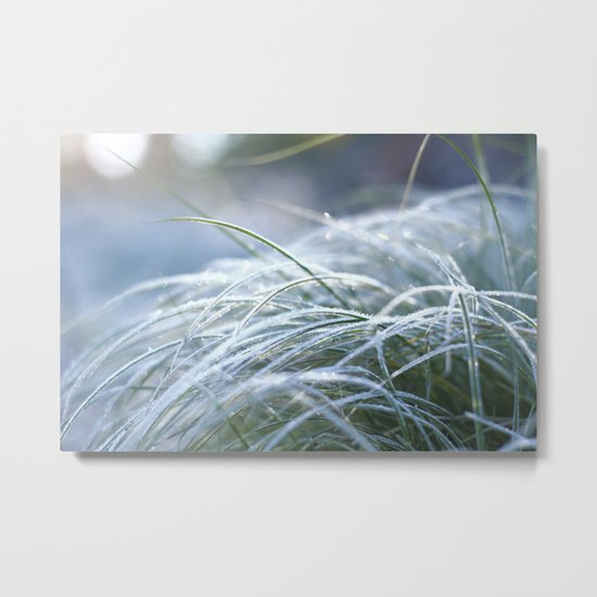 Frosted Metal Print