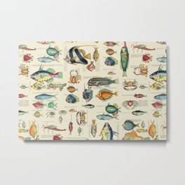 Multicolor  Vintage Fish And Sea Life Illustration Metal Print | Summer, Fauna, Seaside, Maritime, Century, Ocean, Color, Louisrenard, Marinelife, Histoirenaturelle 