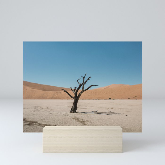 Lonely tree in African Desert | Nature photography | Travel photography | Mini Art Print