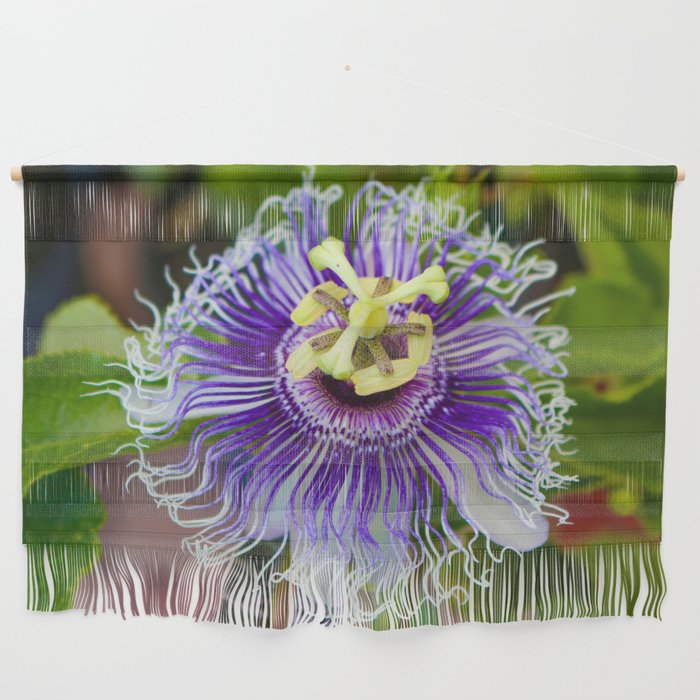 Passion Flower Wall Hanging
