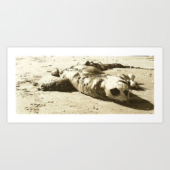 Sea Turtle Art Print