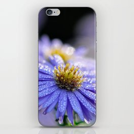 Sparkling Very Peri Daisy Aster Flower iPhone Skin
