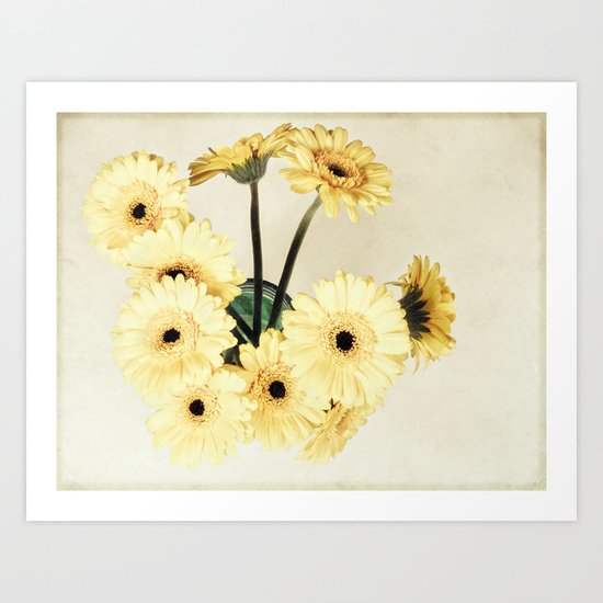 gerberas Art Print