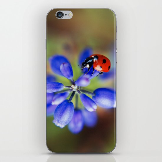 Polka Dot iPhone & iPod Skin