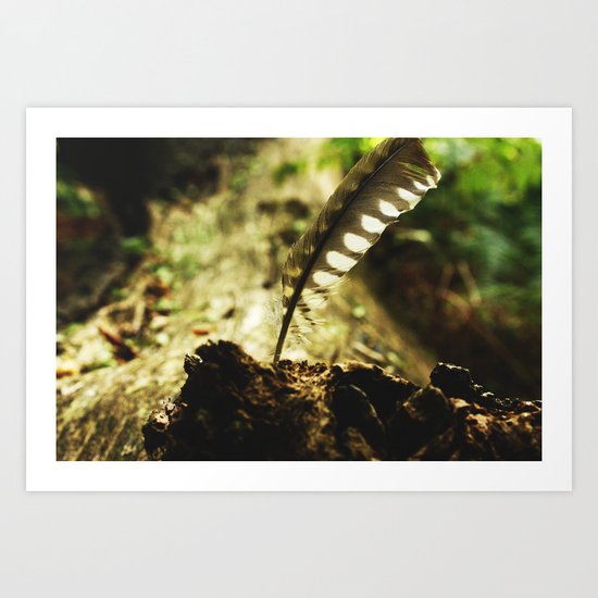 Pheasant feather Art Print