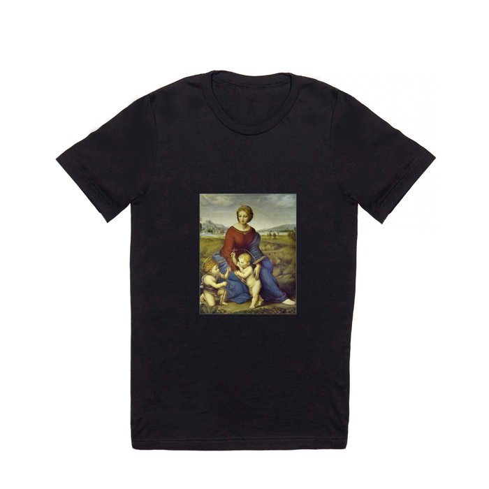Madonna of the Meadows by Raphael T Shirt