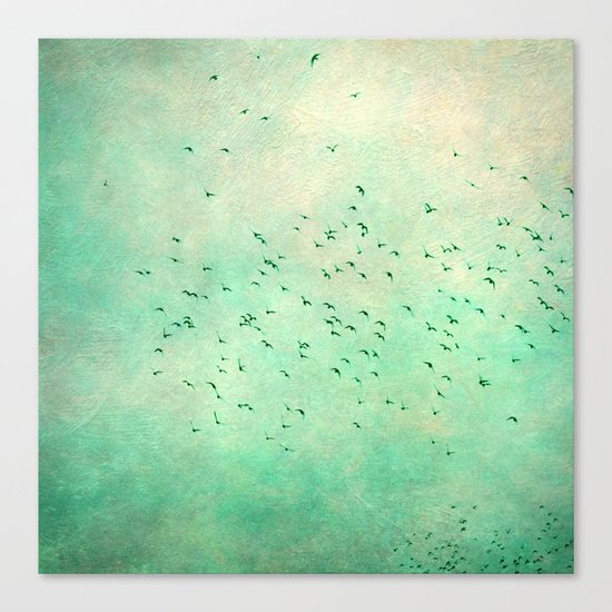 birds IV Canvas Print