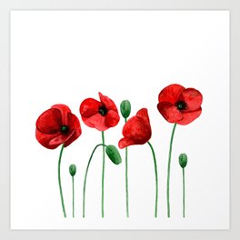 Watercolor Poppies Red Simple Flowers Botanical Art Gift For