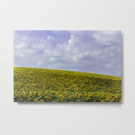 Field of Happiness - Sunflowers  Metal Print