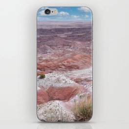Painted Desert 3 iPhone Skin