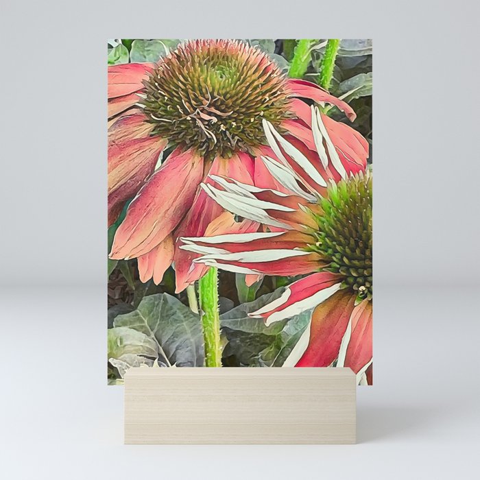 Echinacea I Red coneflowers art and decor  Mini Art Print