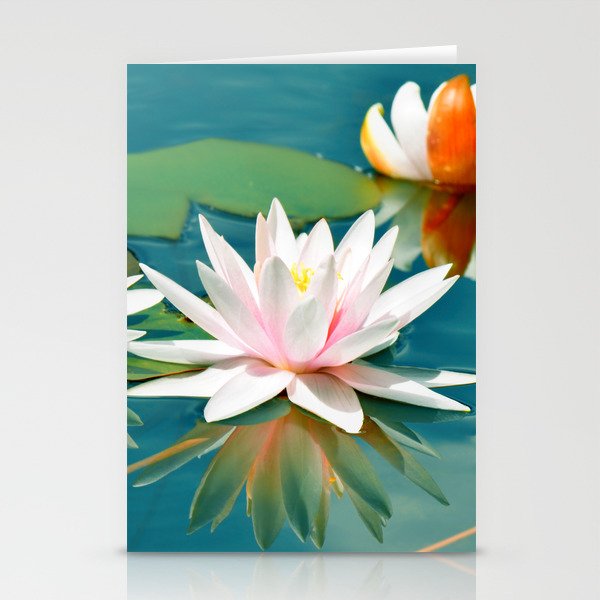 Waterlily 250 Stationery Cards